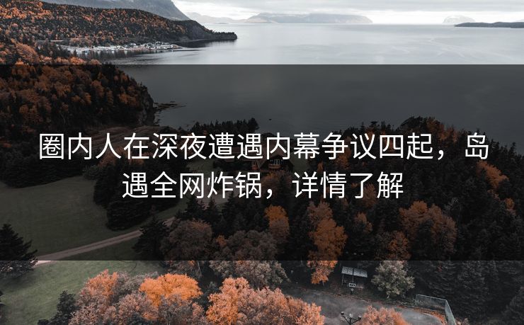圈内人在深夜遭遇内幕争议四起，岛遇全网炸锅，详情了解