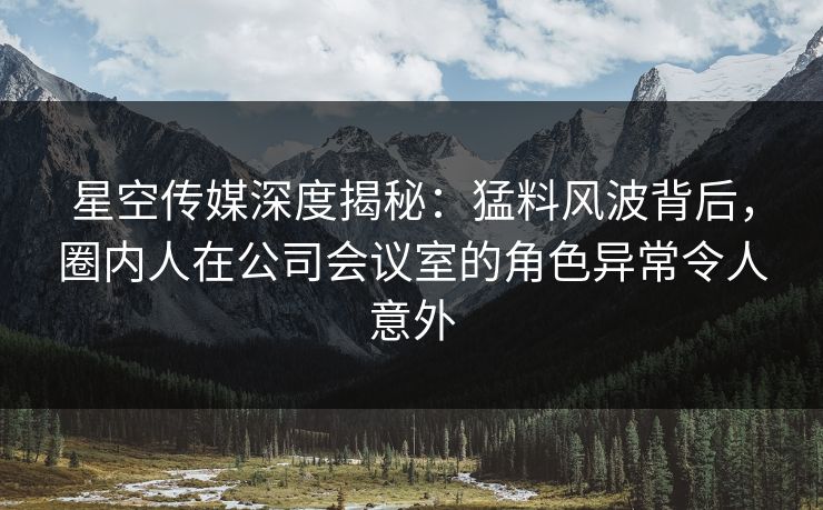 星空传媒深度揭秘：猛料风波背后，圈内人在公司会议室的角色异常令人意外