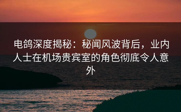 电鸽深度揭秘：秘闻风波背后，业内人士在机场贵宾室的角色彻底令人意外