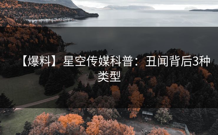 【爆料】星空传媒科普：丑闻背后3种类型