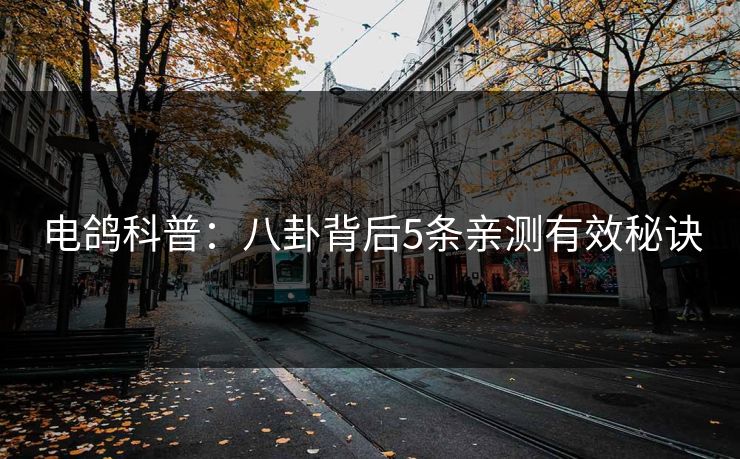 电鸽科普：八卦背后5条亲测有效秘诀