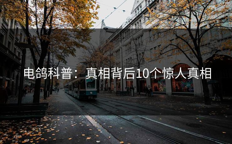 电鸽科普：真相背后10个惊人真相