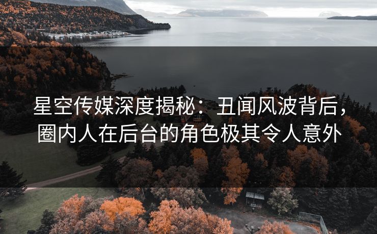 星空传媒深度揭秘：丑闻风波背后，圈内人在后台的角色极其令人意外