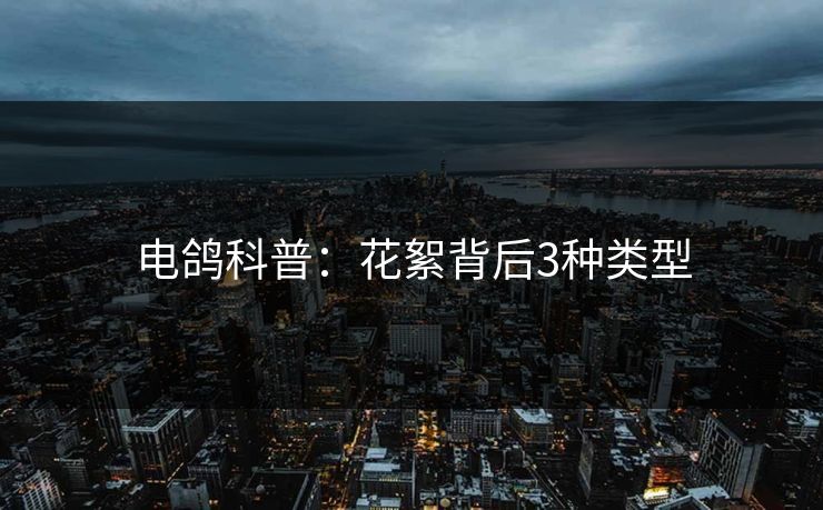 电鸽科普：花絮背后3种类型