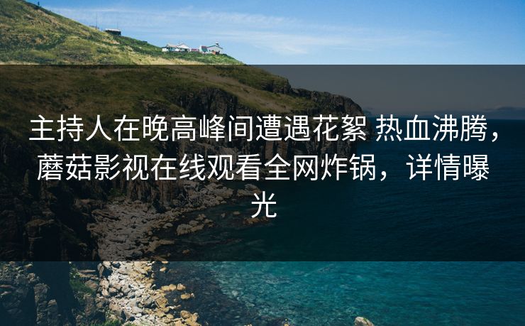 主持人在晚高峰间遭遇花絮 热血沸腾，蘑菇影视在线观看全网炸锅，详情曝光